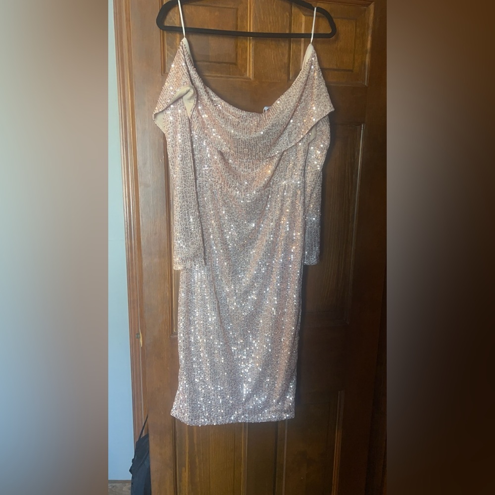 Baltic Born Dress
